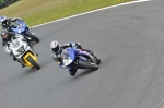 anglesey;brands-hatch;cadwell-park;croft;digital-images;donington-park;enduro;enduro-digital-images;event;event-digital-images;eventdigitalimages;mallory-park;no-limits;oulton-park;peter-wileman-photography;racing;racing-digital-images;silverstone;snetterton;trackday;trackday-digital-images;trackday-photos;vintage;vmcc-banbury-run;welsh-2-day-enduro