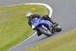 anglesey;brands-hatch;cadwell-park;croft;digital-images;donington-park;enduro;enduro-digital-images;event;event-digital-images;eventdigitalimages;mallory-park;no-limits;oulton-park;peter-wileman-photography;racing;racing-digital-images;silverstone;snetterton;trackday;trackday-digital-images;trackday-photos;vintage;vmcc-banbury-run;welsh-2-day-enduro