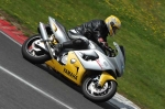 anglesey;brands-hatch;cadwell-park;croft;digital-images;donington-park;enduro;enduro-digital-images;event;event-digital-images;eventdigitalimages;mallory-park;no-limits;oulton-park;peter-wileman-photography;racing;racing-digital-images;silverstone;snetterton;trackday;trackday-digital-images;trackday-photos;vintage;vmcc-banbury-run;welsh-2-day-enduro
