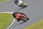 anglesey;brands-hatch;cadwell-park;croft;digital-images;donington-park;enduro;enduro-digital-images;event;event-digital-images;eventdigitalimages;mallory-park;no-limits;oulton-park;peter-wileman-photography;racing;racing-digital-images;silverstone;snetterton;trackday;trackday-digital-images;trackday-photos;vintage;vmcc-banbury-run;welsh-2-day-enduro