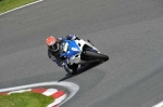 anglesey;brands-hatch;cadwell-park;croft;digital-images;donington-park;enduro;enduro-digital-images;event;event-digital-images;eventdigitalimages;mallory-park;no-limits;oulton-park;peter-wileman-photography;racing;racing-digital-images;silverstone;snetterton;trackday;trackday-digital-images;trackday-photos;vintage;vmcc-banbury-run;welsh-2-day-enduro
