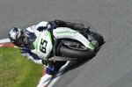 anglesey;brands-hatch;cadwell-park;croft;digital-images;donington-park;enduro;enduro-digital-images;event;event-digital-images;eventdigitalimages;mallory-park;no-limits;oulton-park;peter-wileman-photography;racing;racing-digital-images;silverstone;snetterton;trackday;trackday-digital-images;trackday-photos;vintage;vmcc-banbury-run;welsh-2-day-enduro
