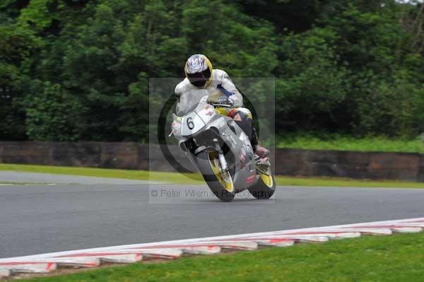 anglesey;brands hatch;cadwell park;croft;digital images;donington park;enduro;enduro digital images;event;event digital images;eventdigitalimages;mallory park;no limits;oulton park;peter wileman photography;racing;racing digital images;silverstone;snetterton;trackday;trackday digital images;trackday photos;vintage;vmcc banbury run;welsh 2 day enduro