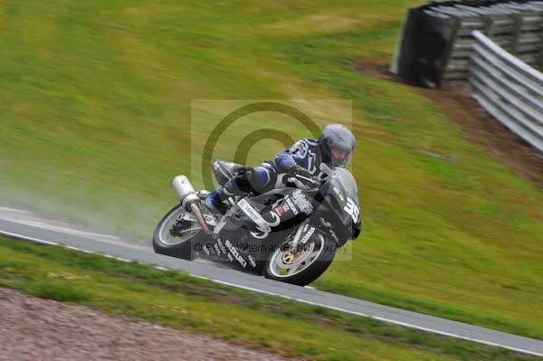 anglesey;brands hatch;cadwell park;croft;digital images;donington park;enduro;enduro digital images;event;event digital images;eventdigitalimages;mallory park;no limits;oulton park;peter wileman photography;racing;racing digital images;silverstone;snetterton;trackday;trackday digital images;trackday photos;vintage;vmcc banbury run;welsh 2 day enduro