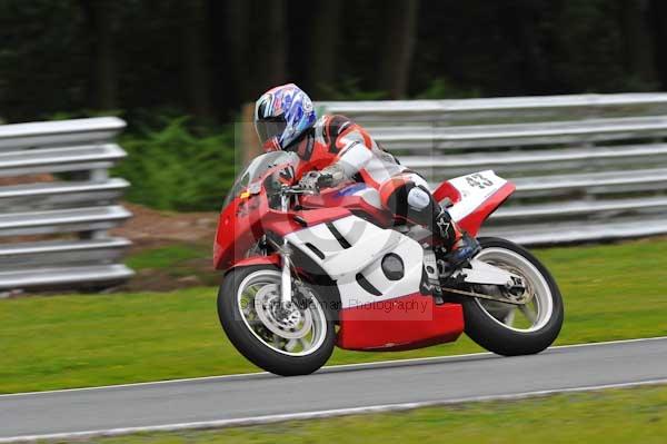 anglesey;brands hatch;cadwell park;croft;digital images;donington park;enduro;enduro digital images;event;event digital images;eventdigitalimages;mallory park;no limits;oulton park;peter wileman photography;racing;racing digital images;silverstone;snetterton;trackday;trackday digital images;trackday photos;vintage;vmcc banbury run;welsh 2 day enduro