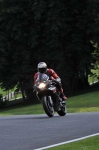 anglesey;brands-hatch;cadwell-park;croft;digital-images;donington-park;enduro;enduro-digital-images;event;event-digital-images;eventdigitalimages;mallory-park;no-limits;oulton-park;peter-wileman-photography;racing;racing-digital-images;silverstone;snetterton;trackday;trackday-digital-images;trackday-photos;vintage;vmcc-banbury-run;welsh-2-day-enduro