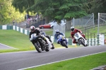 anglesey;brands-hatch;cadwell-park;croft;donington-park;enduro-digital-images;event-digital-images;eventdigitalimages;mallory;no-limits;oulton-park;peter-wileman-photography;racing-digital-images;silverstone;snetterton;trackday-digital-images;trackday-photos;vmcc-banbury-run