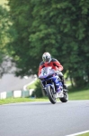 anglesey;brands-hatch;cadwell-park;croft;digital-images;donington-park;enduro;enduro-digital-images;event;event-digital-images;eventdigitalimages;mallory-park;no-limits;oulton-park;peter-wileman-photography;racing;racing-digital-images;silverstone;snetterton;trackday;trackday-digital-images;trackday-photos;vintage;vmcc-banbury-run;welsh-2-day-enduro