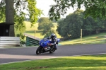 anglesey;brands-hatch;cadwell-park;croft;donington-park;enduro-digital-images;event-digital-images;eventdigitalimages;mallory;no-limits;oulton-park;peter-wileman-photography;racing-digital-images;silverstone;snetterton;trackday-digital-images;trackday-photos;vmcc-banbury-run