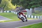 anglesey;brands-hatch;cadwell-park;croft;donington-park;enduro-digital-images;event-digital-images;eventdigitalimages;mallory;no-limits;oulton-park;peter-wileman-photography;racing-digital-images;silverstone;snetterton;trackday-digital-images;trackday-photos;vmcc-banbury-run
