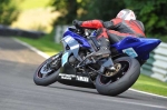 anglesey;brands-hatch;cadwell-park;croft;donington-park;enduro-digital-images;event-digital-images;eventdigitalimages;mallory;no-limits;oulton-park;peter-wileman-photography;racing-digital-images;silverstone;snetterton;trackday-digital-images;trackday-photos;vmcc-banbury-run