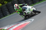 anglesey;brands-hatch;cadwell-park;croft;donington-park;enduro-digital-images;event-digital-images;eventdigitalimages;mallory;no-limits;oulton-park;peter-wileman-photography;racing-digital-images;silverstone;snetterton;trackday-digital-images;trackday-photos;vmcc-banbury-run