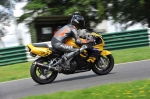 FAST GREEN/YELLOW BIKES