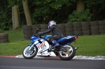 anglesey;brands-hatch;cadwell-park;croft;digital-images;donington-park;enduro;enduro-digital-images;event;event-digital-images;eventdigitalimages;mallory-park;no-limits;oulton-park;peter-wileman-photography;racing;racing-digital-images;silverstone;snetterton;trackday;trackday-digital-images;trackday-photos;vintage;vmcc-banbury-run;welsh-2-day-enduro