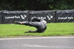 anglesey;brands-hatch;cadwell-park;croft;digital-images;donington-park;enduro;enduro-digital-images;event;event-digital-images;eventdigitalimages;mallory-park;no-limits;oulton-park;peter-wileman-photography;racing;racing-digital-images;silverstone;snetterton;trackday;trackday-digital-images;trackday-photos;vintage;vmcc-banbury-run;welsh-2-day-enduro