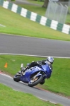 BLUE/WHITE BIKES