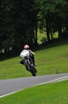 anglesey;brands-hatch;cadwell-park;croft;digital-images;donington-park;enduro;enduro-digital-images;event;event-digital-images;eventdigitalimages;mallory-park;no-limits;oulton-park;peter-wileman-photography;racing;racing-digital-images;silverstone;snetterton;trackday;trackday-digital-images;trackday-photos;vintage;vmcc-banbury-run;welsh-2-day-enduro