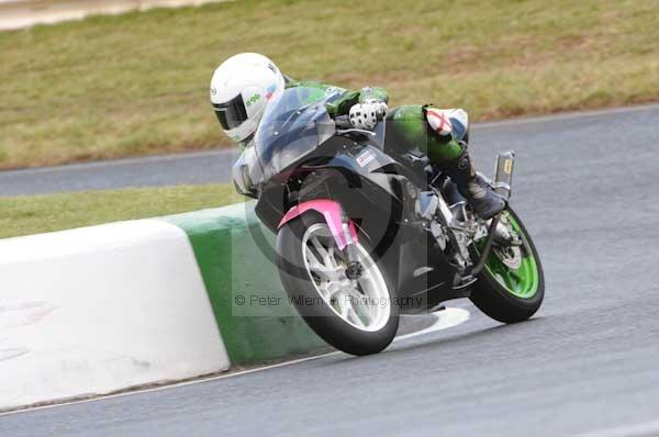 anglesey;brands hatch;cadwell park;croft;digital images;donington park;enduro;enduro digital images;event;event digital images;eventdigitalimages;mallory park;no limits;oulton park;peter wileman photography;racing;racing digital images;silverstone;snetterton;trackday;trackday digital images;trackday photos;vintage;vmcc banbury run;welsh 2 day enduro