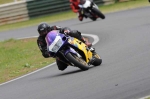 anglesey;brands-hatch;cadwell-park;croft;digital-images;donington-park;enduro;enduro-digital-images;event;event-digital-images;eventdigitalimages;mallory-park;no-limits;oulton-park;peter-wileman-photography;racing;racing-digital-images;silverstone;snetterton;trackday;trackday-digital-images;trackday-photos;vintage;vmcc-banbury-run;welsh-2-day-enduro