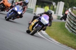 anglesey;brands-hatch;cadwell-park;croft;digital-images;donington-park;enduro;enduro-digital-images;event;event-digital-images;eventdigitalimages;mallory-park;no-limits;oulton-park;peter-wileman-photography;racing;racing-digital-images;silverstone;snetterton;trackday;trackday-digital-images;trackday-photos;vintage;vmcc-banbury-run;welsh-2-day-enduro