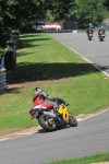 anglesey;brands-hatch;cadwell-park;croft;digital-images;donington-park;enduro;enduro-digital-images;event;event-digital-images;eventdigitalimages;mallory-park;no-limits;oulton-park;peter-wileman-photography;racing;racing-digital-images;silverstone;snetterton;trackday;trackday-digital-images;trackday-photos;vintage;vmcc-banbury-run;welsh-2-day-enduro