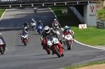 anglesey;brands-hatch;cadwell-park;croft;digital-images;donington-park;enduro;enduro-digital-images;event;event-digital-images;eventdigitalimages;mallory-park;no-limits;oulton-park;peter-wileman-photography;racing;racing-digital-images;silverstone;snetterton;trackday;trackday-digital-images;trackday-photos;vintage;vmcc-banbury-run;welsh-2-day-enduro