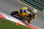 FAST GREEN/YELLOW BIKES