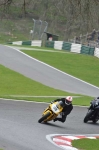 INTER GREEN/YELLOW BIKES