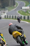 NOVICE GREEN/YELLOW BIKES