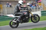 NOVICE MULTICOLOUR BIKES