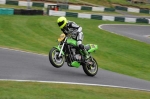 GREEN/YELLOW BIKES