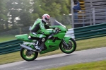 EVENING FAST/INTER GREEN/YELLOW BIKES