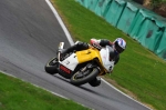 INTER GREEN/YELLOW BIKES