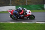 Mallory-park-Leicestershire;Mallory-park-photographs;Motorcycle-action-photographs;event-digital-images;eventdigitalimages;mallory-park;no-limits-trackday;peter-wileman-photography;trackday;trackday-digital-images;trackday-photos