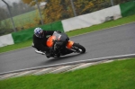 Mallory-park-Leicestershire;Mallory-park-photographs;Motorcycle-action-photographs;event-digital-images;eventdigitalimages;mallory-park;no-limits-trackday;peter-wileman-photography;trackday;trackday-digital-images;trackday-photos