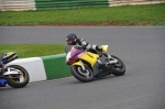 Mallory-park-Leicestershire;Mallory-park-photographs;Motorcycle-action-photographs;event-digital-images;eventdigitalimages;mallory-park;no-limits-trackday;peter-wileman-photography;trackday;trackday-digital-images;trackday-photos