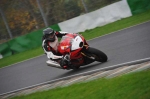 Mallory-park-Leicestershire;Mallory-park-photographs;Motorcycle-action-photographs;event-digital-images;eventdigitalimages;mallory-park;no-limits-trackday;peter-wileman-photography;trackday;trackday-digital-images;trackday-photos