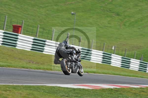 Motorcycle action photographs;Trackday digital images;cadwell;cadwell park photographs;event digital images;eventdigitalimages;motor racing louth lincolnshire;no limits trackdays;peter wileman photography;trackday;trackday photos
