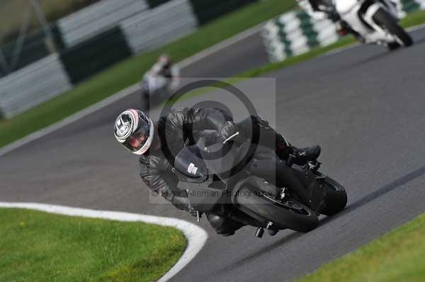 Motorcycle action photographs;Trackday digital images;cadwell;cadwell park photographs;event digital images;eventdigitalimages;motor racing louth lincolnshire;no limits trackdays;peter wileman photography;trackday;trackday photos