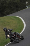 Motorcycle-action-photographs;Trackday-digital-images;cadwell;cadwell-park-photographs;event-digital-images;eventdigitalimages;motor-racing-louth-lincolnshire;no-limits-trackdays;peter-wileman-photography;trackday;trackday-photos