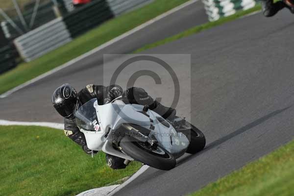 Motorcycle action photographs;Trackday digital images;cadwell;cadwell park photographs;event digital images;eventdigitalimages;motor racing louth lincolnshire;no limits trackdays;peter wileman photography;trackday;trackday photos