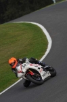 Motorcycle-action-photographs;Trackday-digital-images;cadwell;cadwell-park-photographs;event-digital-images;eventdigitalimages;motor-racing-louth-lincolnshire;no-limits-trackdays;peter-wileman-photography;trackday;trackday-photos