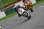 Motorcycle-action-photographs;Trackday-digital-images;cadwell;cadwell-park-photographs;event-digital-images;eventdigitalimages;motor-racing-louth-lincolnshire;no-limits-trackdays;peter-wileman-photography;trackday;trackday-photos