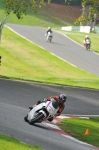 Motorcycle-action-photographs;Trackday-digital-images;cadwell;cadwell-park-photographs;event-digital-images;eventdigitalimages;motor-racing-louth-lincolnshire;no-limits-trackdays;peter-wileman-photography;trackday;trackday-photos