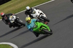 Motorcycle-action-photographs;Trackday-digital-images;cadwell;cadwell-park-photographs;event-digital-images;eventdigitalimages;motor-racing-louth-lincolnshire;no-limits-trackdays;peter-wileman-photography;trackday;trackday-photos