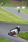 Motorcycle-action-photographs;Trackday-digital-images;cadwell;cadwell-park-photographs;event-digital-images;eventdigitalimages;motor-racing-louth-lincolnshire;no-limits-trackdays;peter-wileman-photography;trackday;trackday-photos