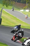 Motorcycle-action-photographs;Trackday-digital-images;cadwell;cadwell-park-photographs;event-digital-images;eventdigitalimages;motor-racing-louth-lincolnshire;no-limits-trackdays;peter-wileman-photography;trackday;trackday-photos