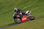 Motorcycle-action-photographs;Trackday-digital-images;cadwell;cadwell-park-photographs;event-digital-images;eventdigitalimages;motor-racing-louth-lincolnshire;no-limits-trackdays;peter-wileman-photography;trackday;trackday-photos