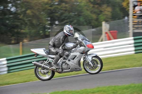 Motorcycle action photographs;Trackday digital images;cadwell;cadwell park photographs;event digital images;eventdigitalimages;motor racing louth lincolnshire;no limits trackdays;peter wileman photography;trackday;trackday photos