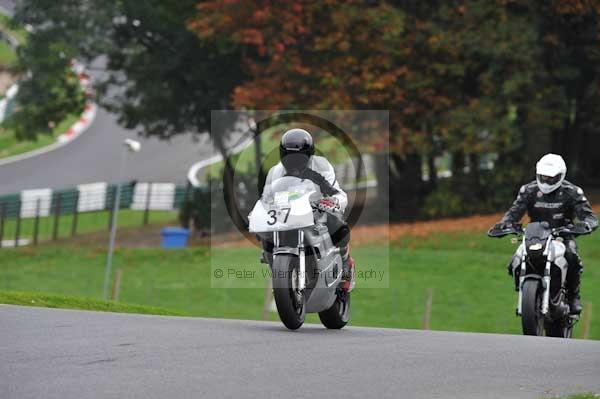 Motorcycle action photographs;Trackday digital images;cadwell;cadwell park photographs;event digital images;eventdigitalimages;motor racing louth lincolnshire;no limits trackdays;peter wileman photography;trackday;trackday photos